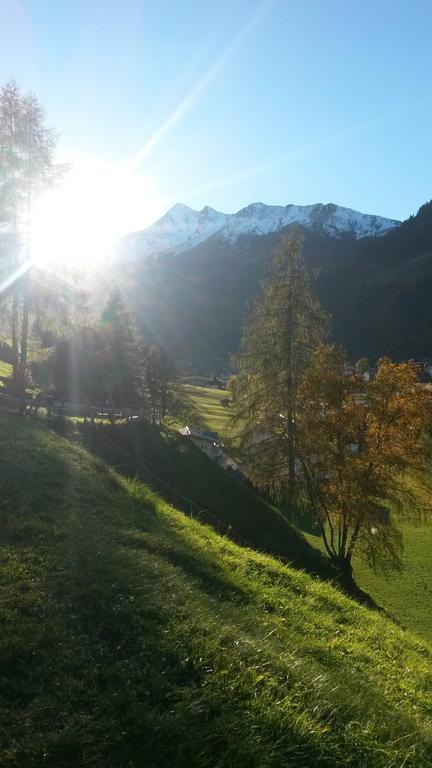 Haus Harbauer Apartment Neustift im Stubaital Ngoại thất bức ảnh