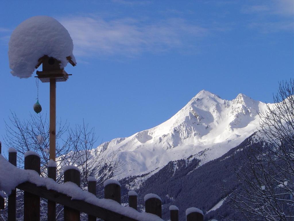 Haus Harbauer Apartment Neustift im Stubaital Ngoại thất bức ảnh